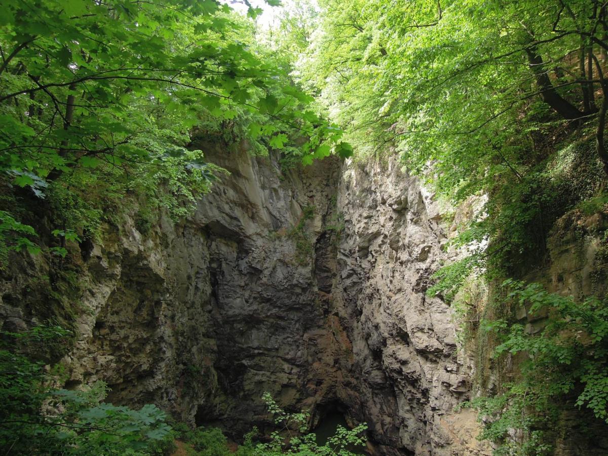 Apartma S Vlastni Saunou Lipník nad Bečou المظهر الخارجي الصورة